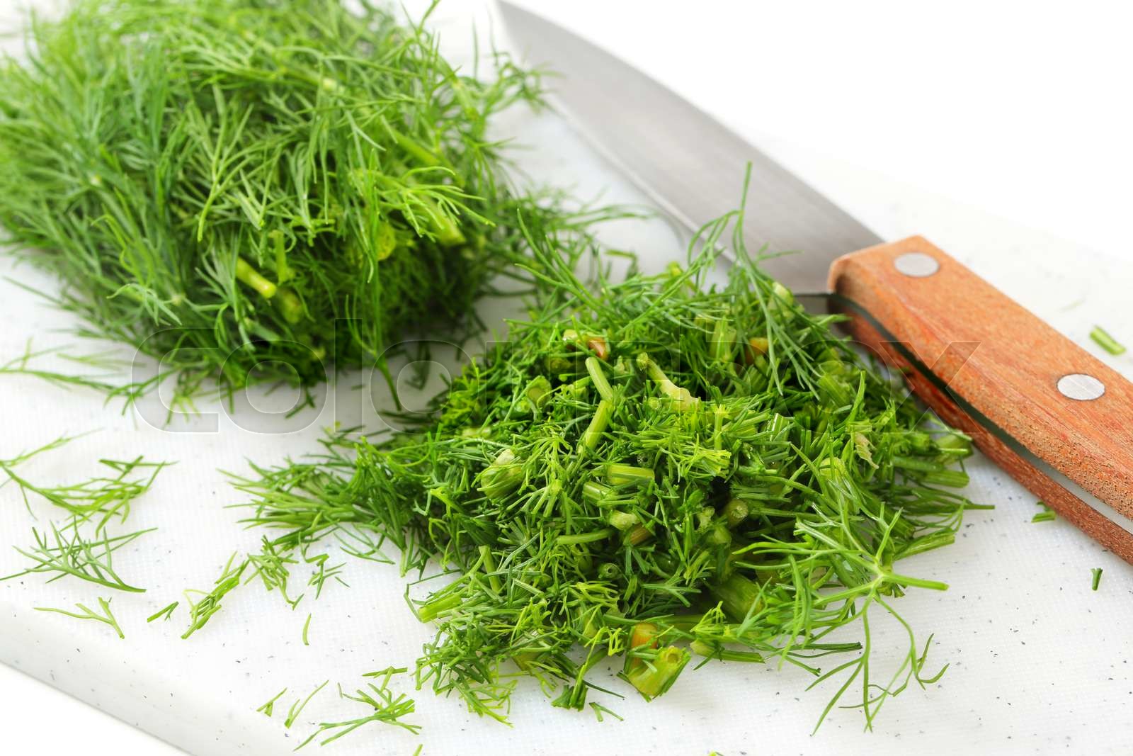 5 Fresh Dill Recipes to Transform Your Dishes