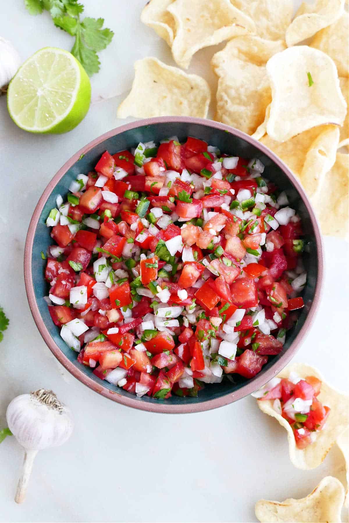 Fresh Garden Salsa Recipe It S A Veg World After All