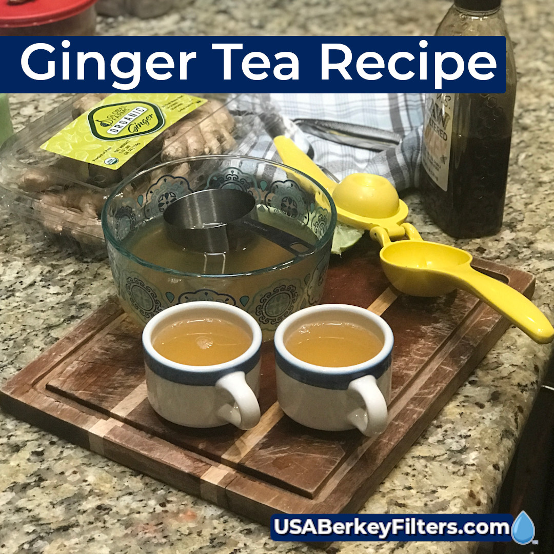 Fresh Ginger Root Tea With Berkey Water Ginger Root Tea Ginger Tea