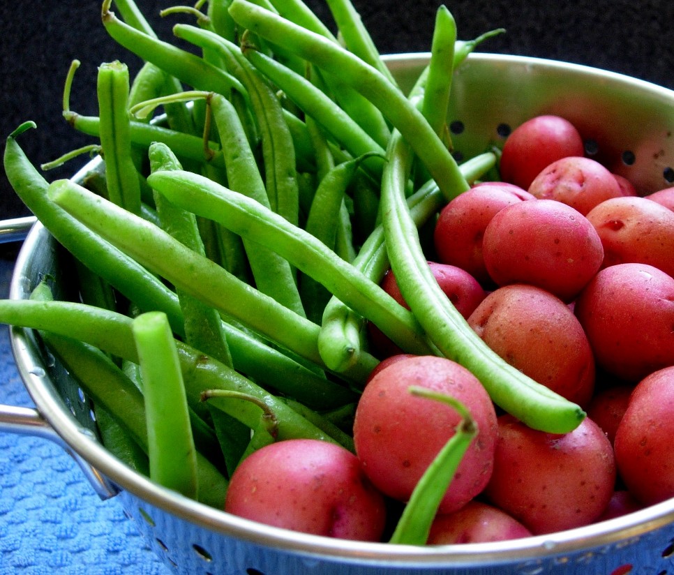 Fresh Green Beans And Potatoes