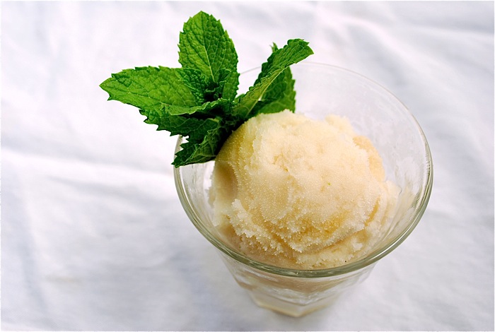 Fresh Mint Sorbet Recipe