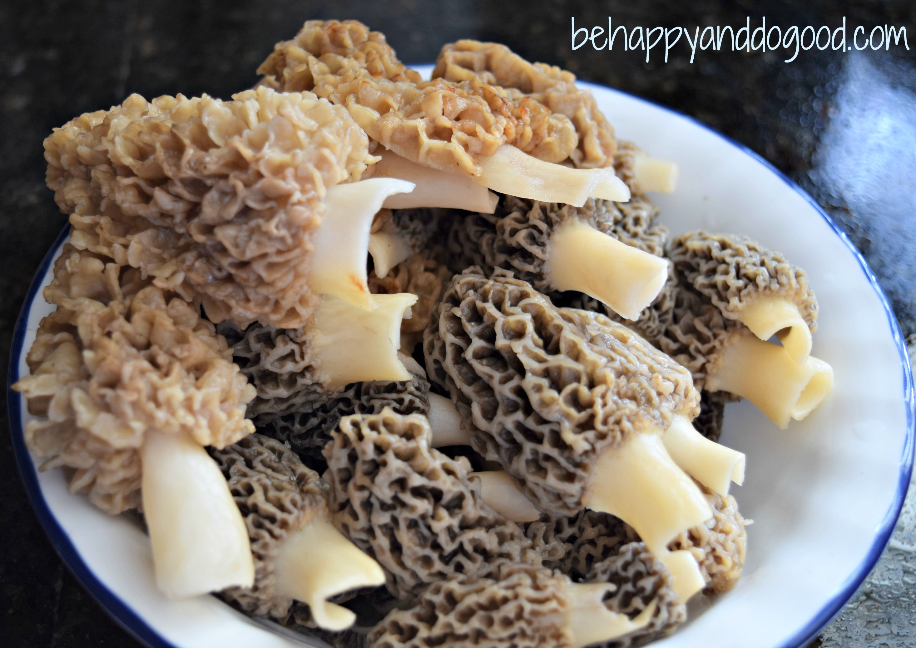 Frying Morel Mushrooms For Beginners Be Happy And Do Good Recipe Morel Mushroom Recipes