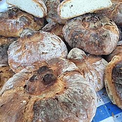 5 Must-Try Galician Bread Recipes for Home Bakers