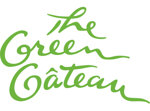 Garish Green Gateau Recipe Desserts