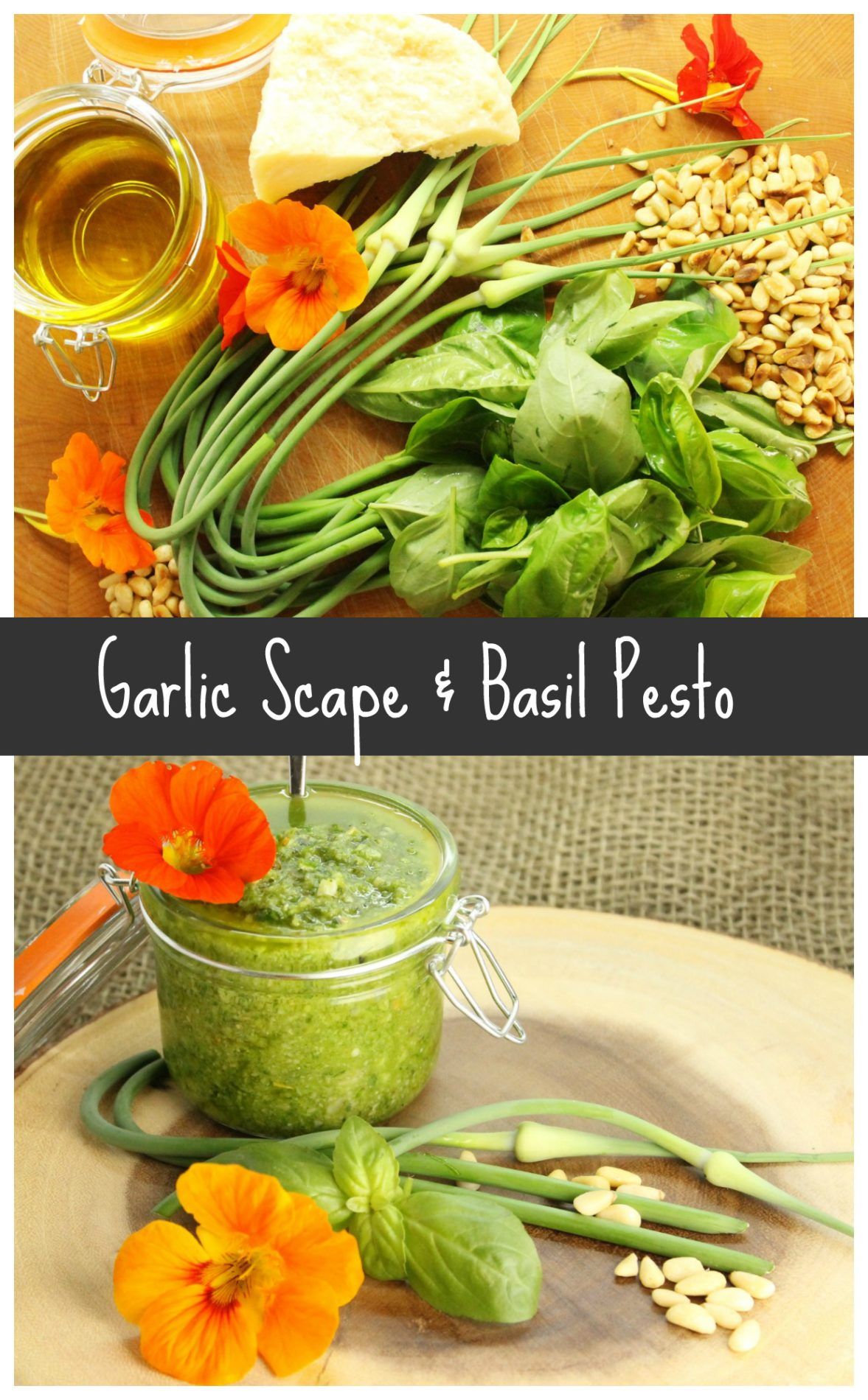 Garlic Scape And Basil Pesto Recipe