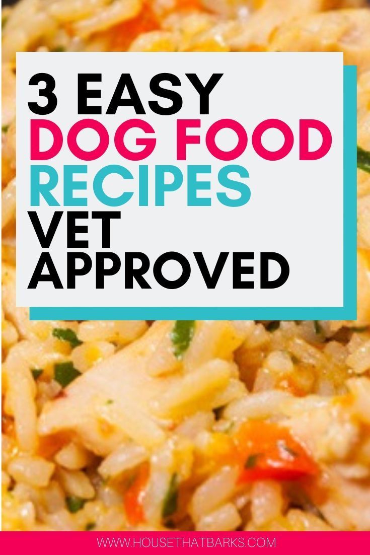 Get Puppy Approved With These Mouthwatering Homemade Dog Food Recipes