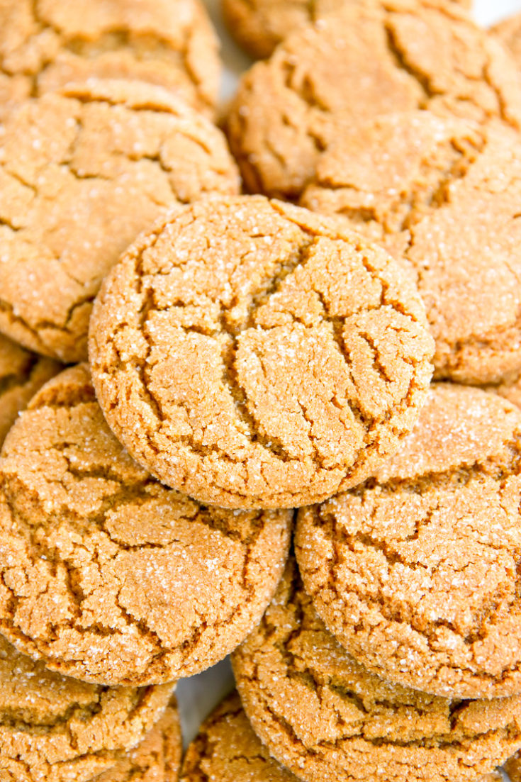 Ginger Snaps Recipe The Culinary Compass