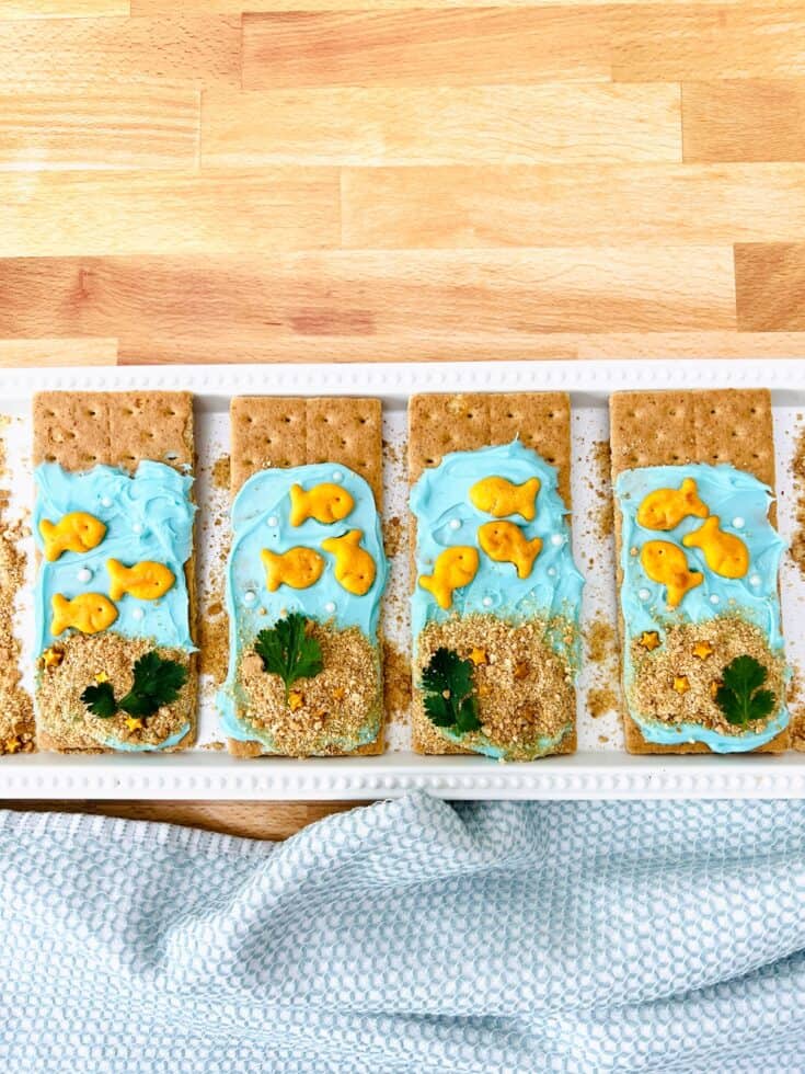 Goldfish Graham Cracker Snack Blog H Ng