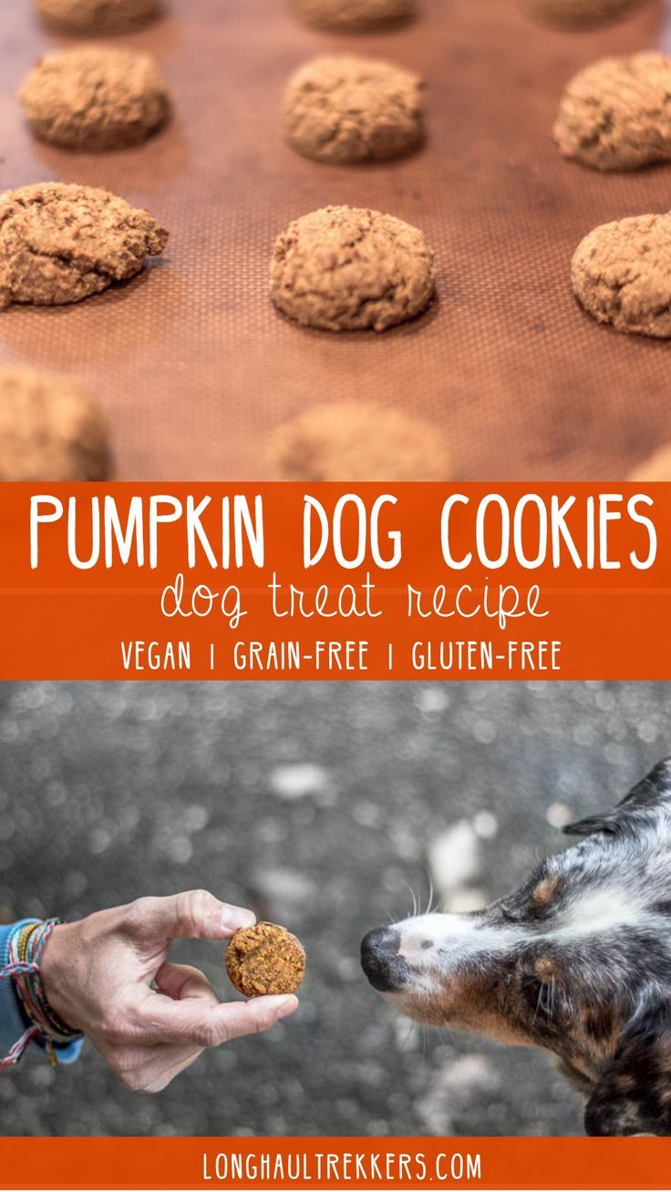 Grain Free Dog Treat Recipe