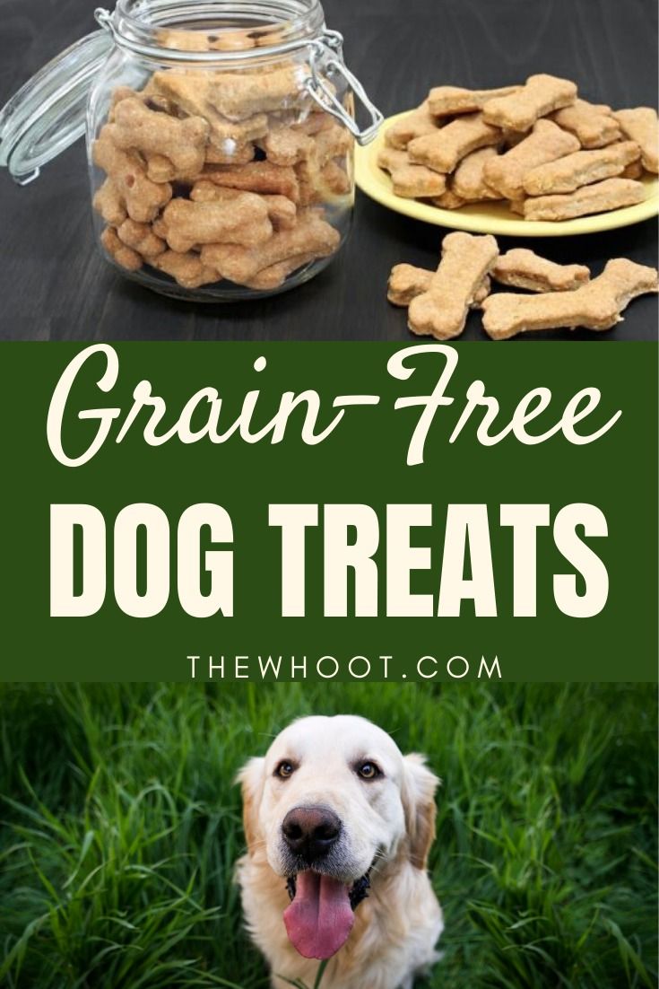 Grain Free Dog Treats Recipe Video The Whoot Grain Free Dog