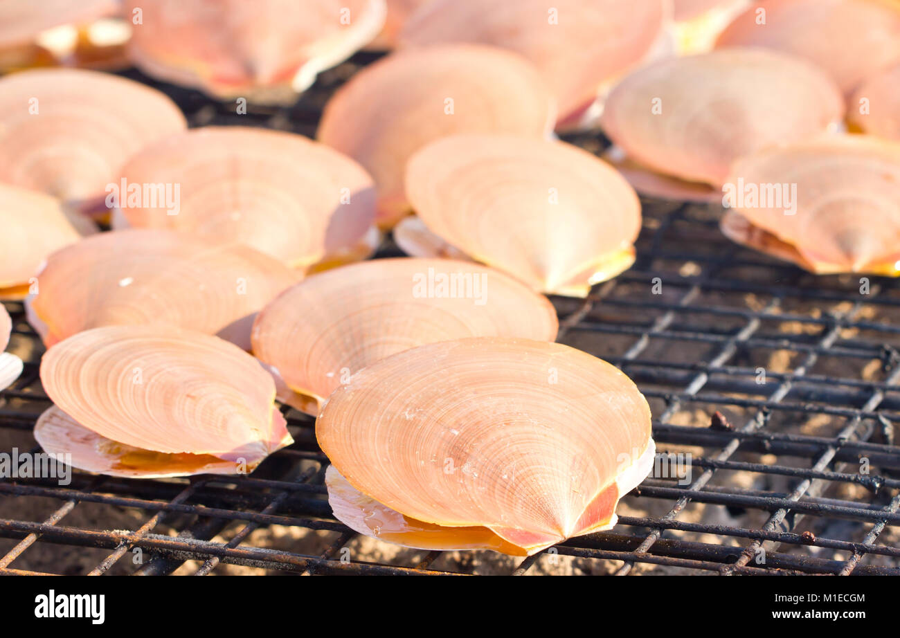 5 Easy Steps to Grill Perfect Scallops