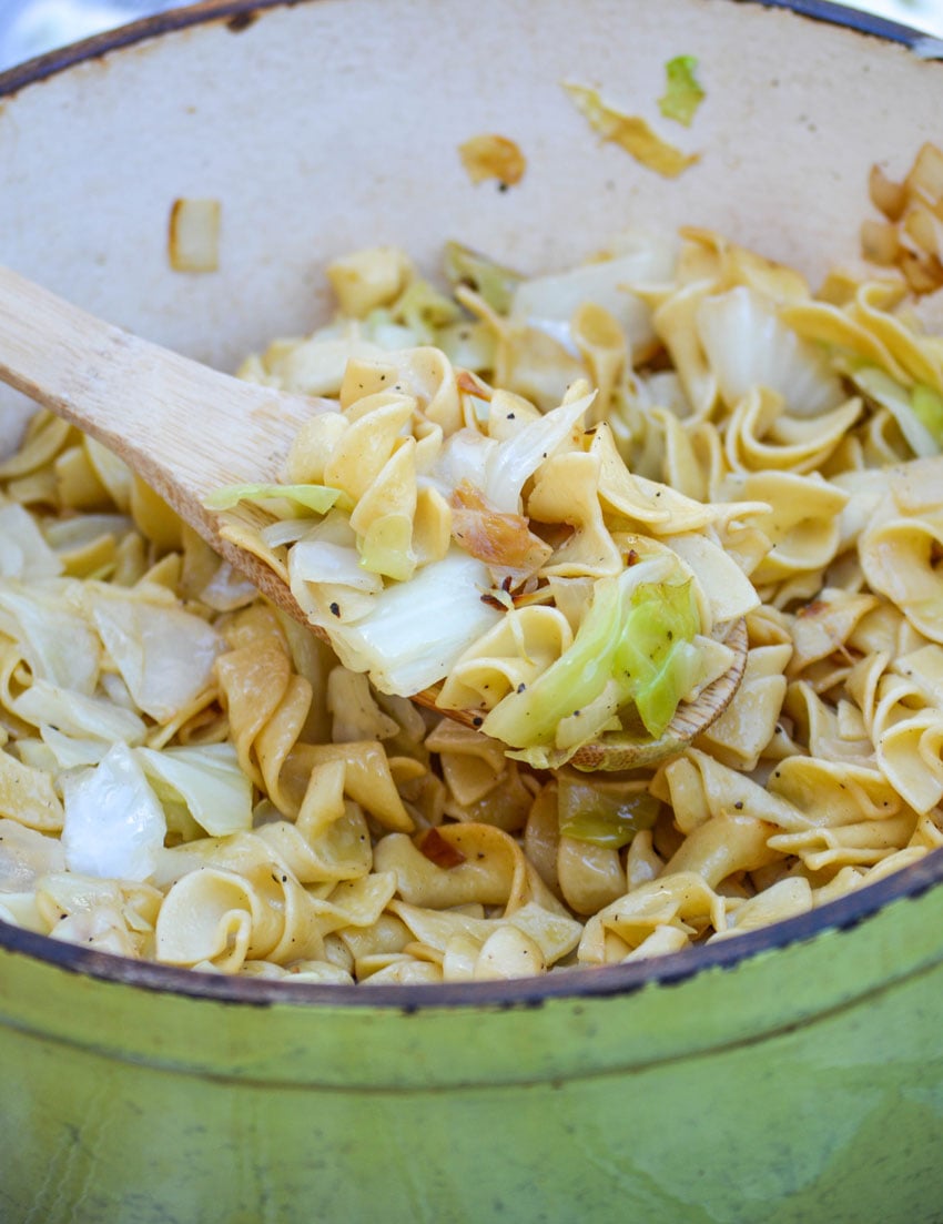 Haluski Recipe Polish Fried Cabbage Noodles 4 Sons R Us