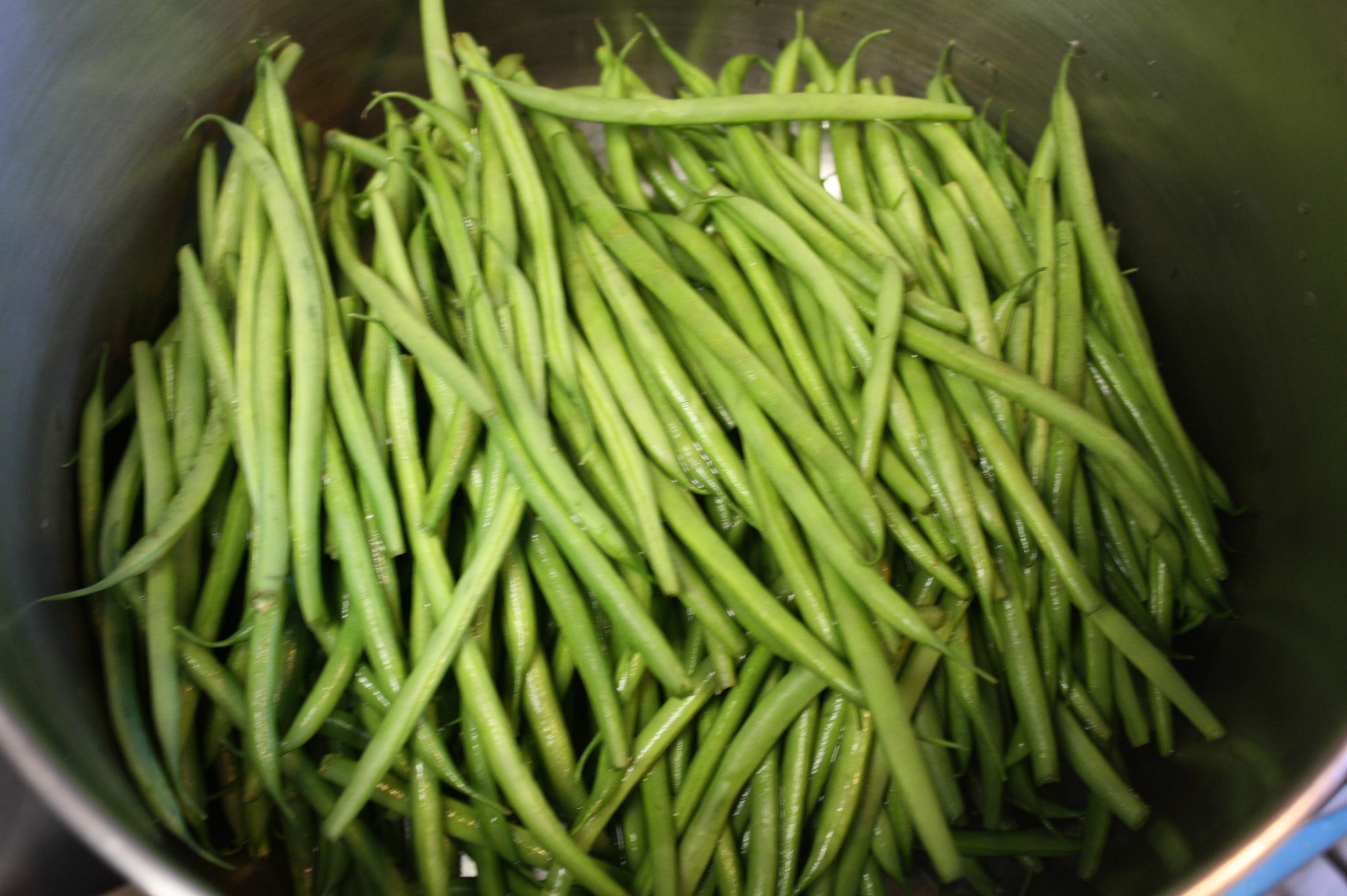 Haricot Verts Fresh Green Beans 52 Sunday Dinners