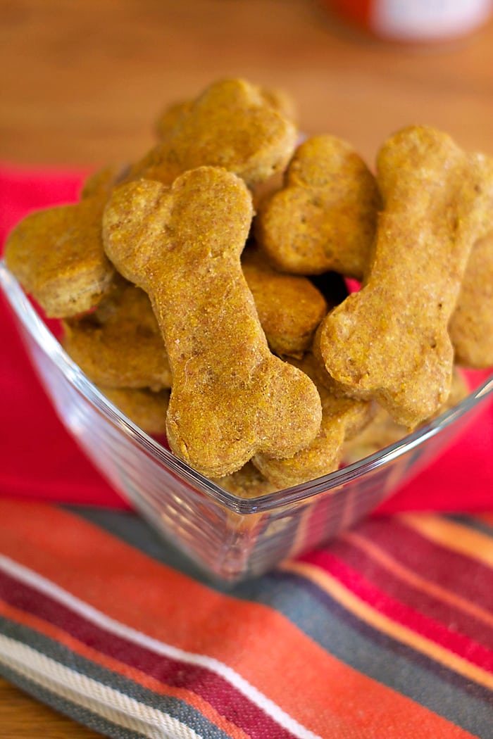 Healthy Pumpkin Dog Treats Food With Feeling