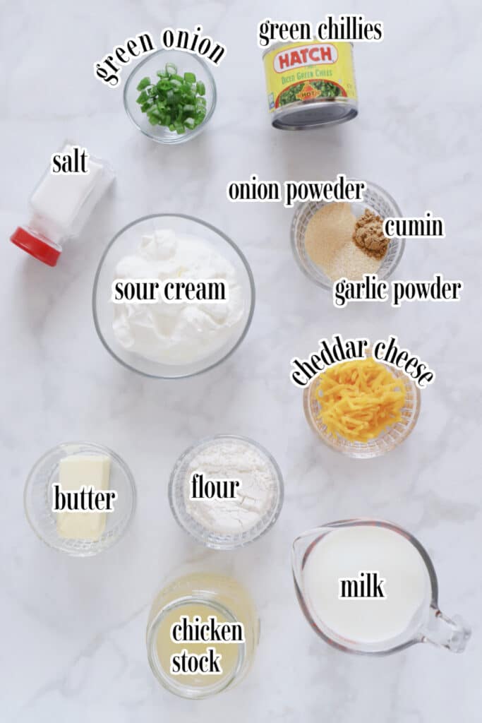 Heavenly Sour Cream Sauce Receipe