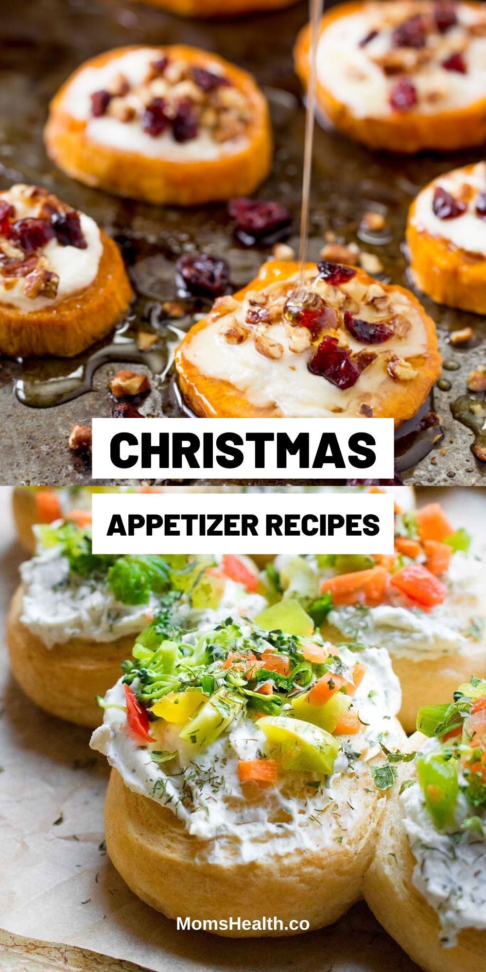 Holiday Appetizer The Perfect Appetizer Recipes For Holiday