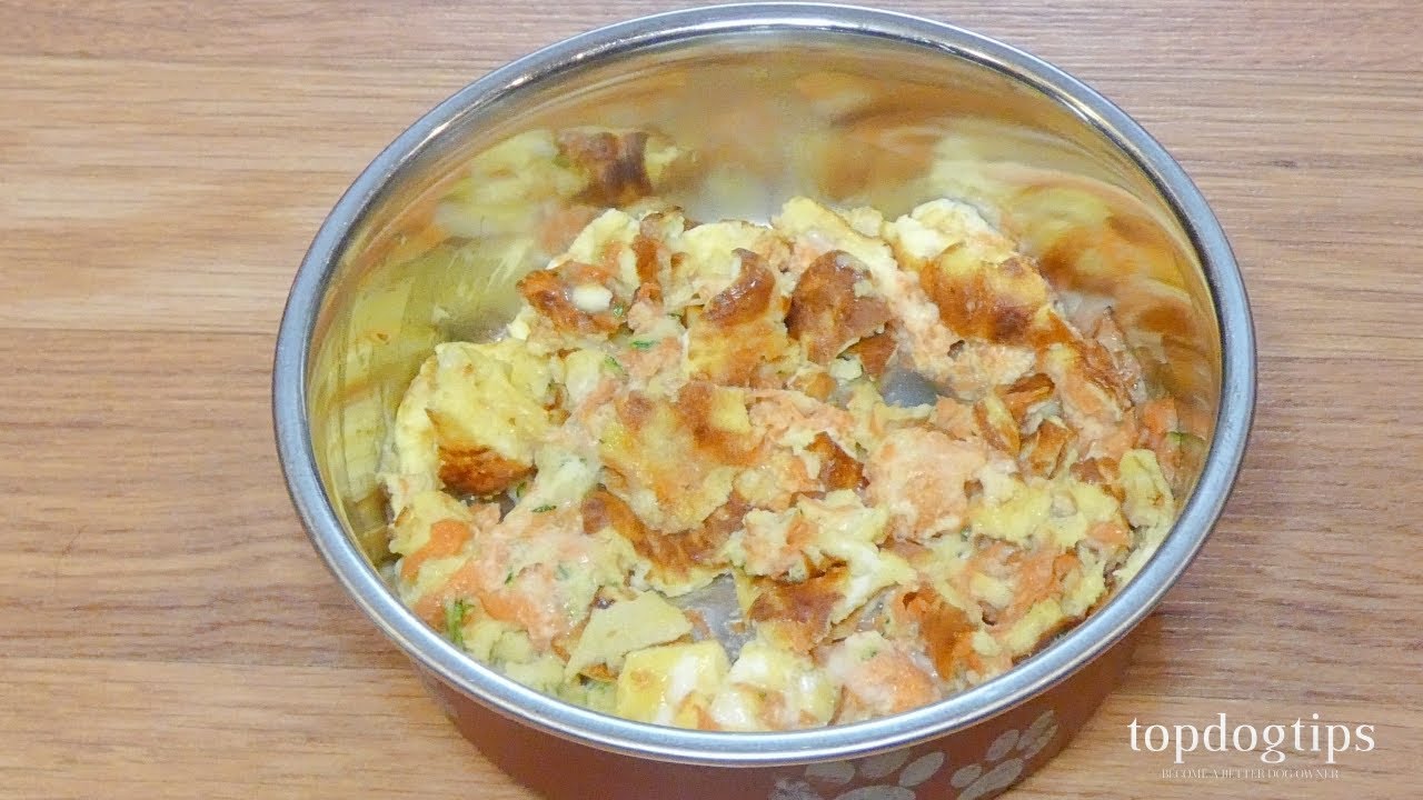 Homemade Cat Food Recipe Low Budget Youtube