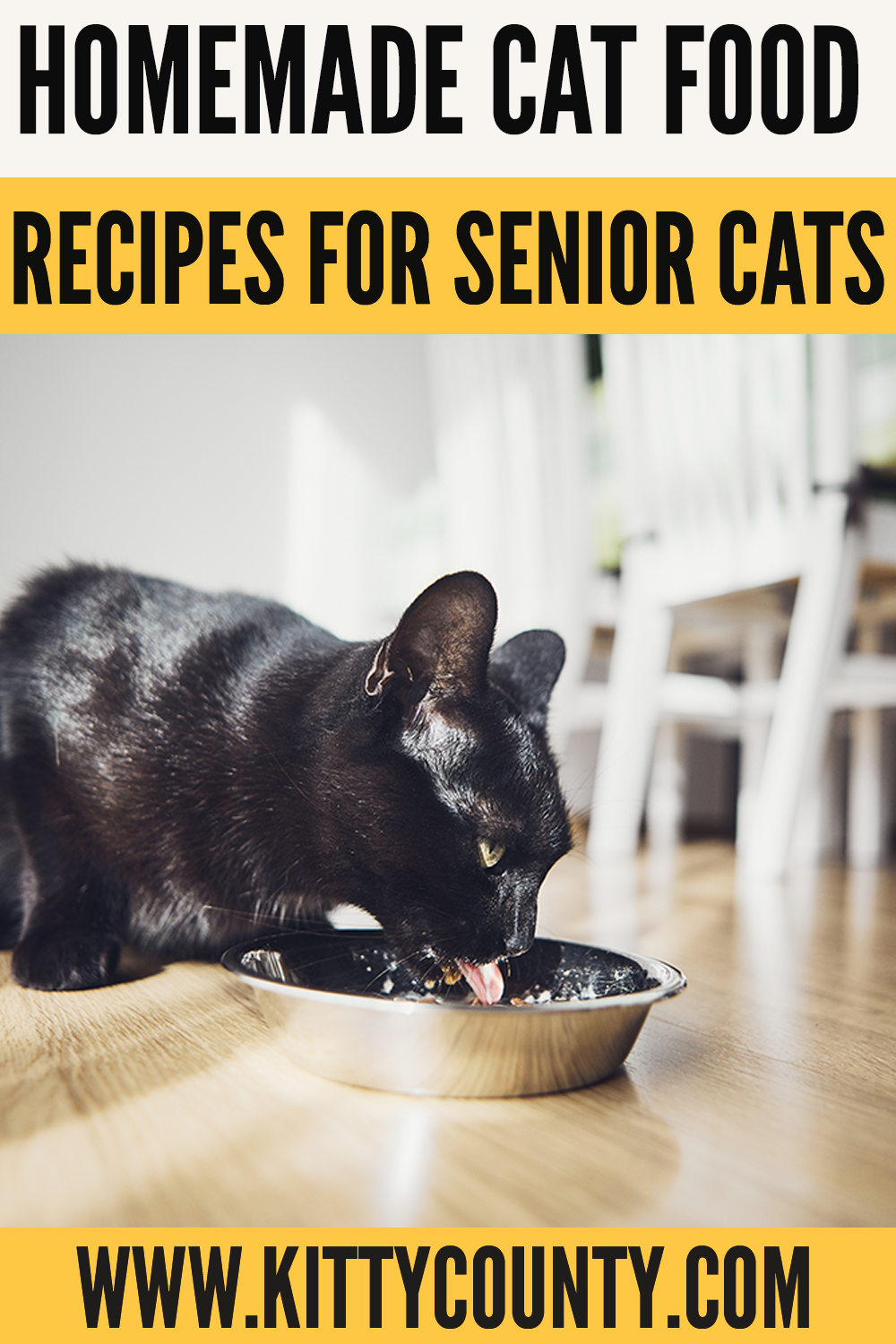 Homemade Cat Food Recipes For Senior Cats Artofit