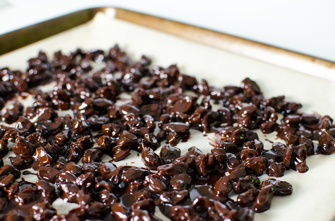 Homemade Chocolate Covered Raisins Veggie Primer