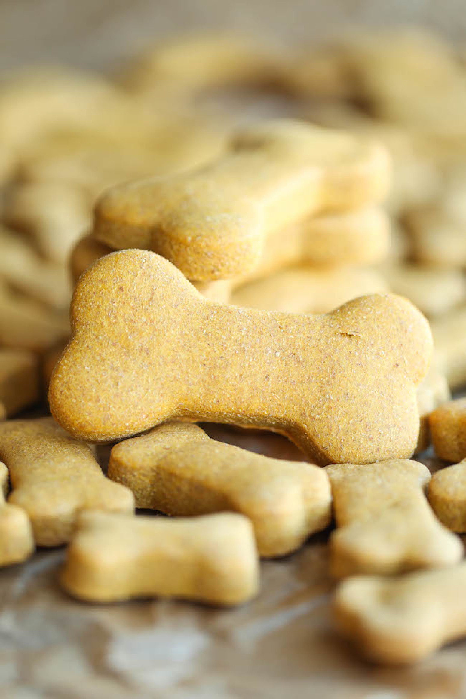 Homemade Dog Biscuits Peanut Butter Treats Tastes Of Lizzy T