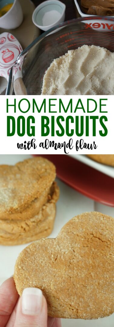 Homemade Dog Treats With Almond Flour Recipe Easy Dog Treat Recipes