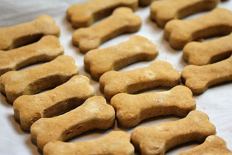 Homemade Pumpkin And Peanut Butter Dog Treats Recipe Cully S Kitchen