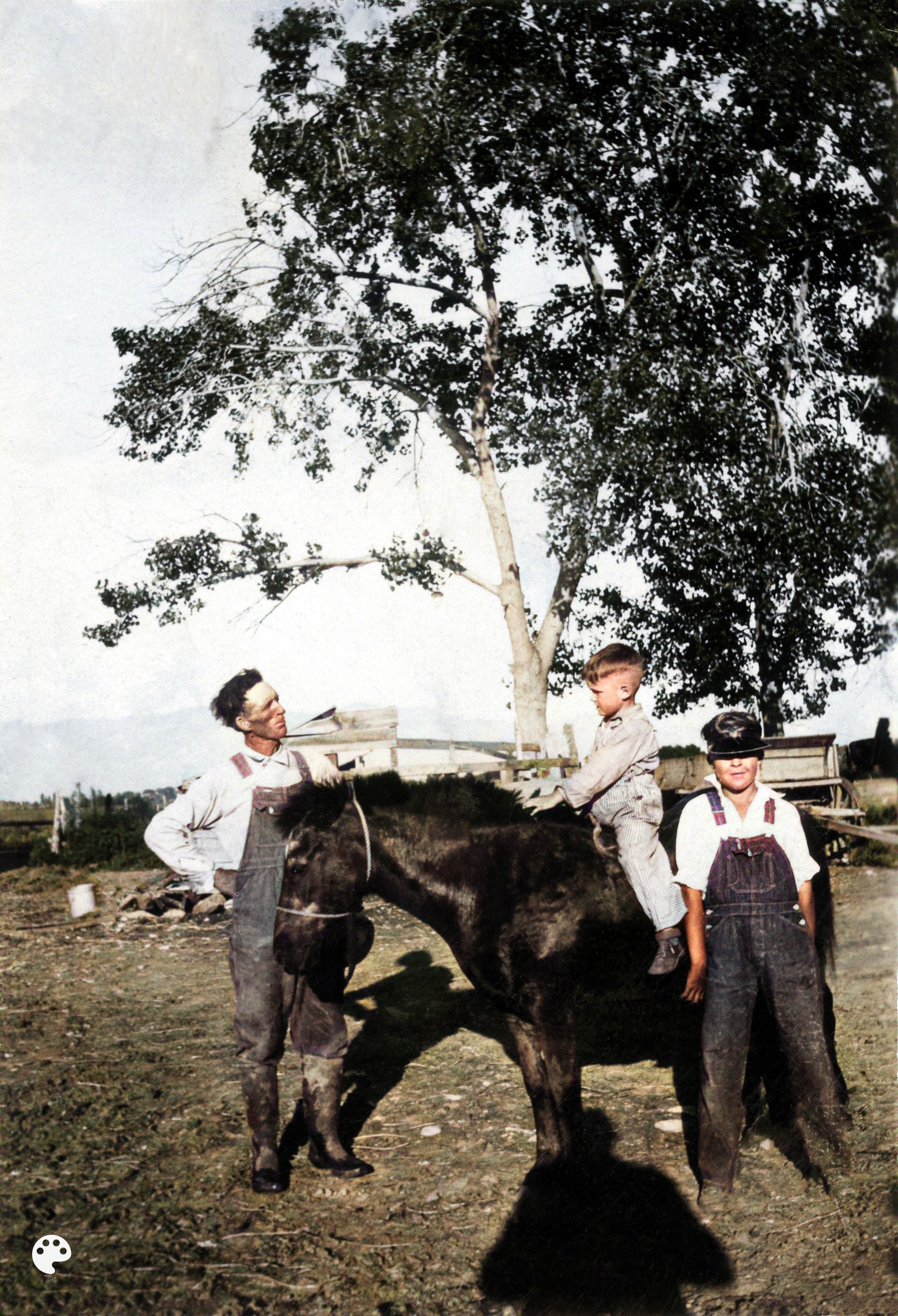 Horse Mint Treats At Brandon Skeen Blog