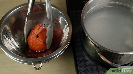 How To Boil Lobster Tails With Pictures Wikihow