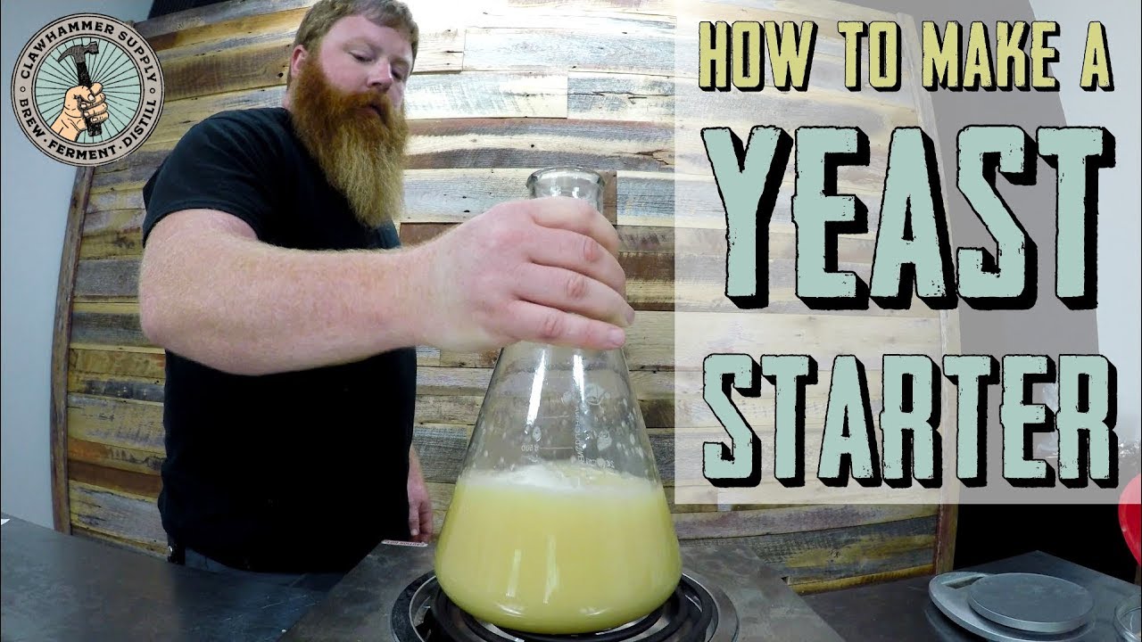 How To Make A Yeast Starter A Comprehensive Guide The Enlightened