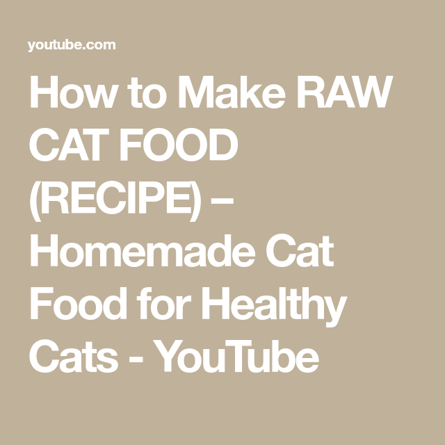 How To Make Raw Cat Food Recipe Homemade Cat Food For Healthy Cats