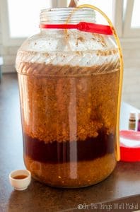 How To Make Soy Sauce Homemade Shoyu Oh The Things We Ll Make