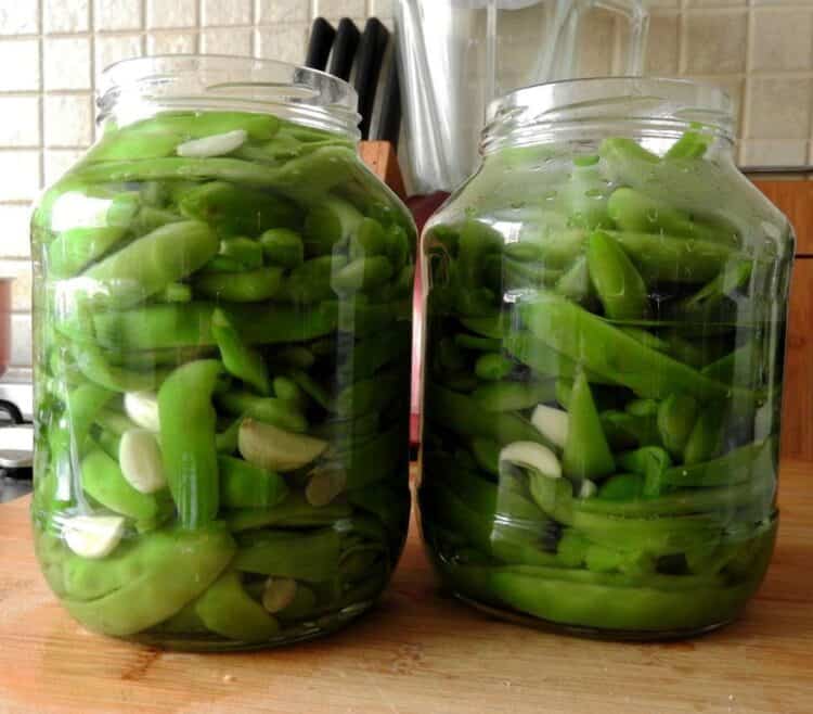 How To Pickle Green Beans Without Canning Quick Pickled Refrigerator