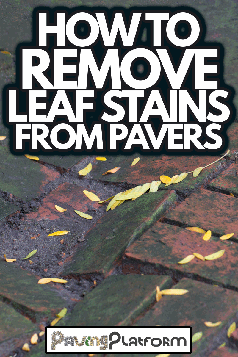 How To Remove Stains From Pavers Faqs The Paving Experts