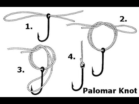 How To Tie The Best Palomar Knot In 2 Different Ways Youtube