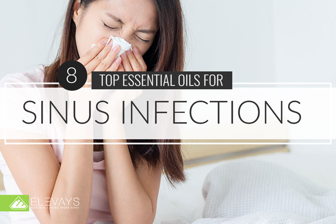 How To Use Essential Oils To Treat Sinus Infections Artofit