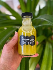 Immune Boosting Ginger Shot Recipe Hungry Dane Kitchen