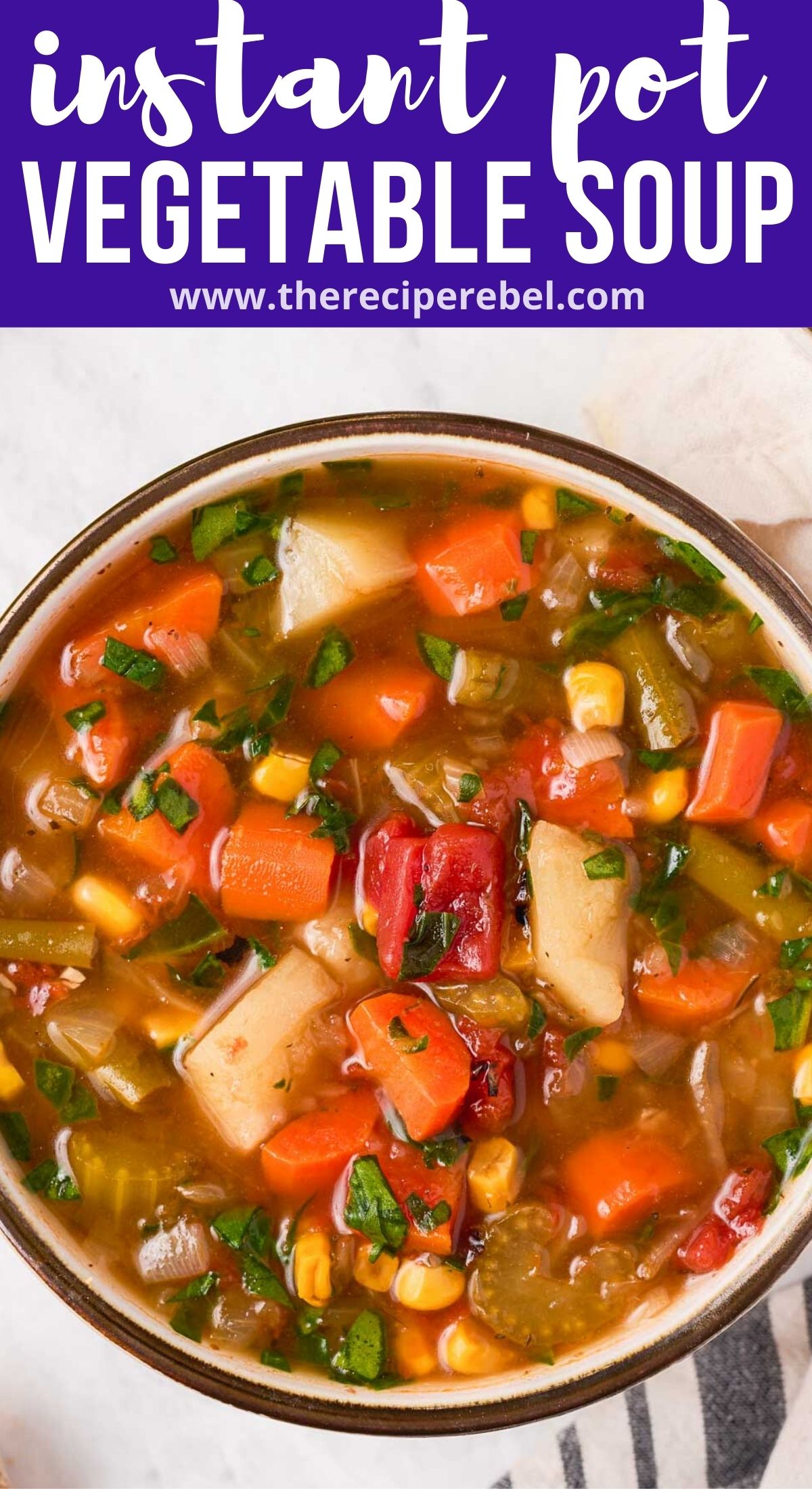 Instant Pot Vegetable Soup The Recipe Rebel