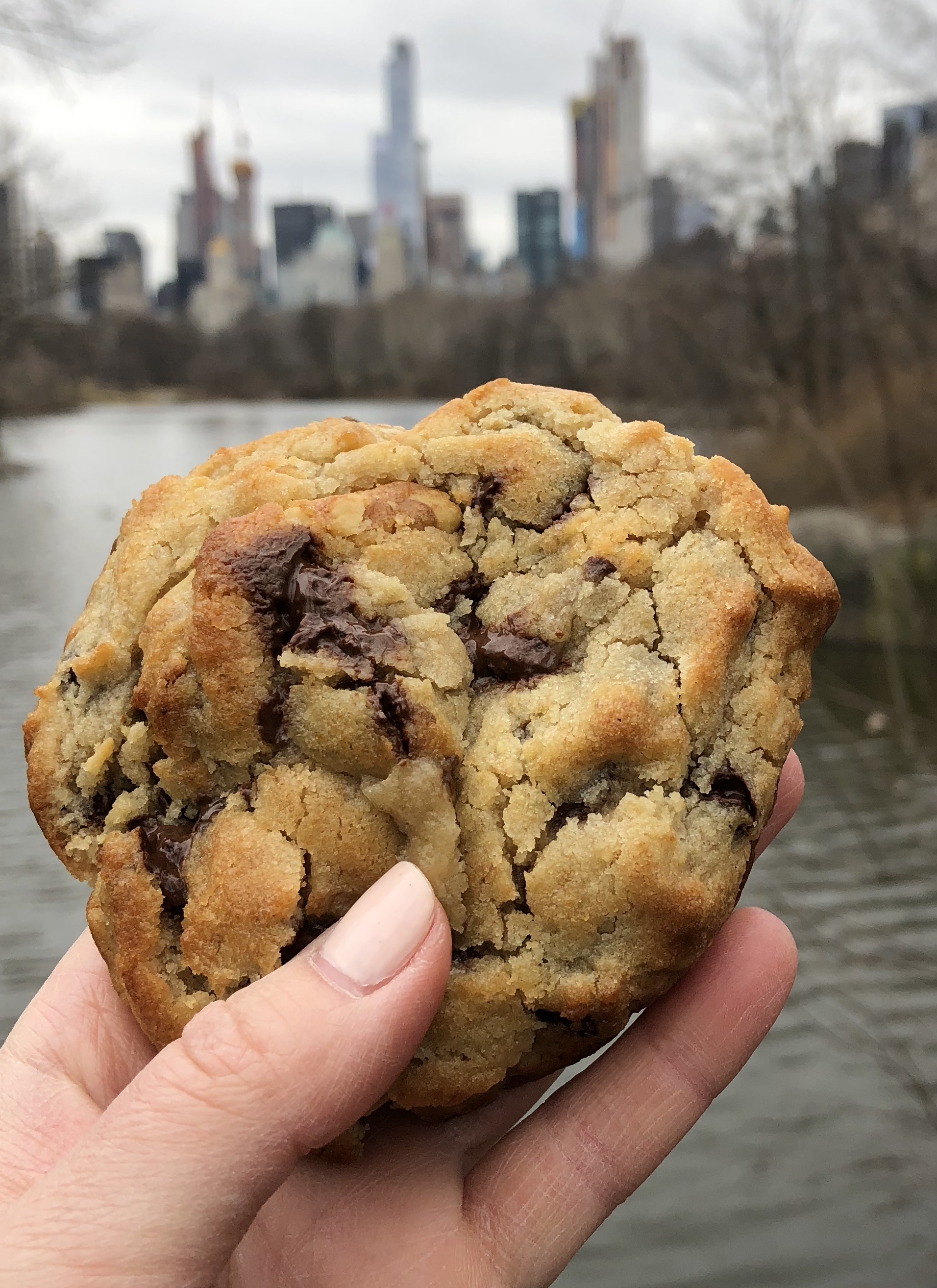 Keto Levain Bakery Cookies Levain Bakery Levain Cookie Recipe