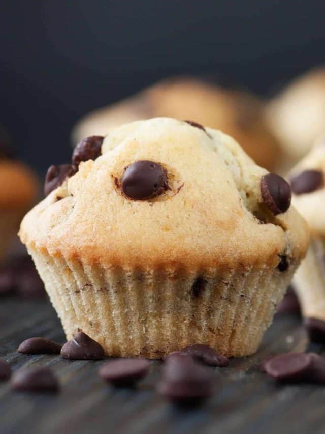 Keto Vanilla Protein Muffins Myketoplate