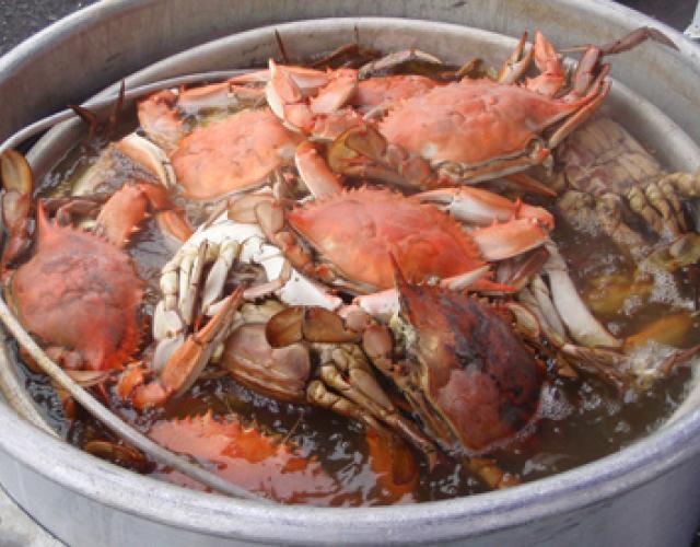 Louisiana Crab Boil Recipe Oven Deporecipe Co