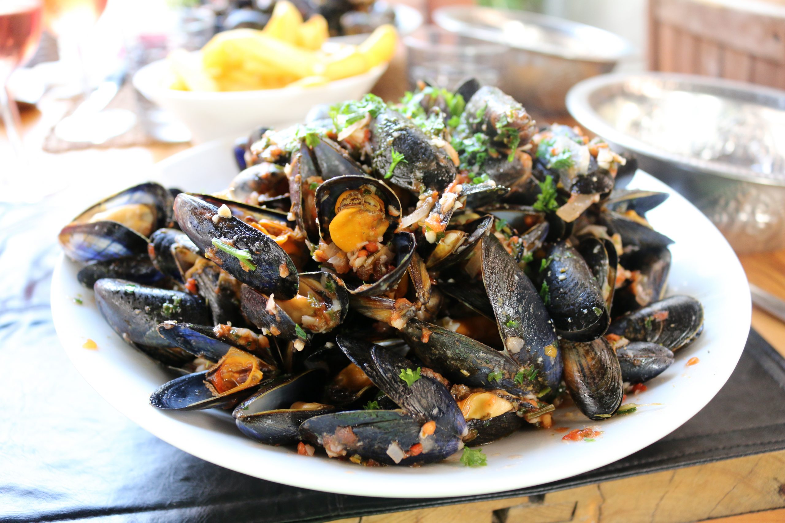 Magic Mussels Atlantic Gull