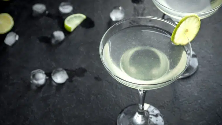 Make Life Gintastic 9 Classic Gin Cocktail Recipes To Try This Weekend