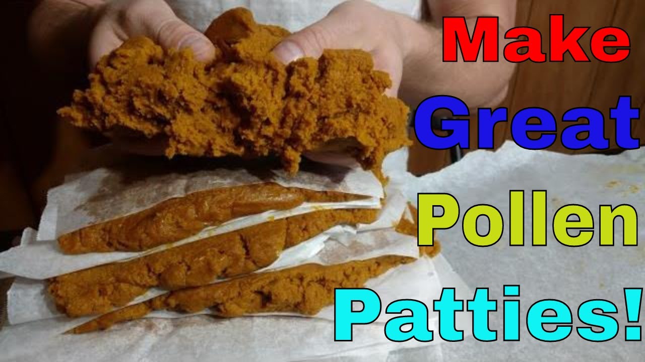 Making Pollen Patties For Bees Youtube Pollen Patties Recipe Patties