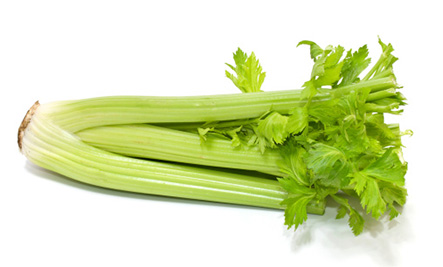 Fresh Celery Meat Recipes for Flavorful Meals