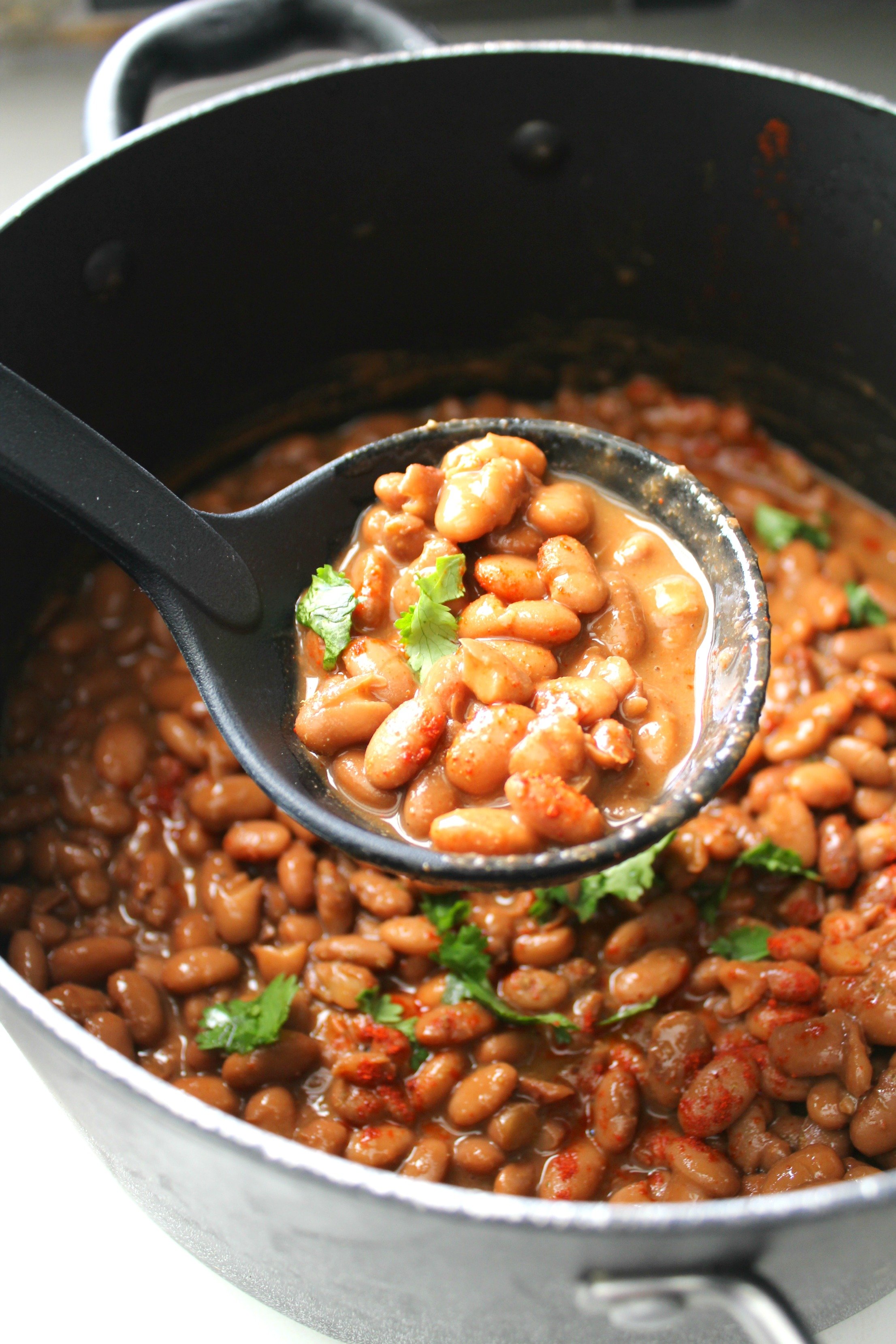 Mexican Pinto Beans This Savory Vegan