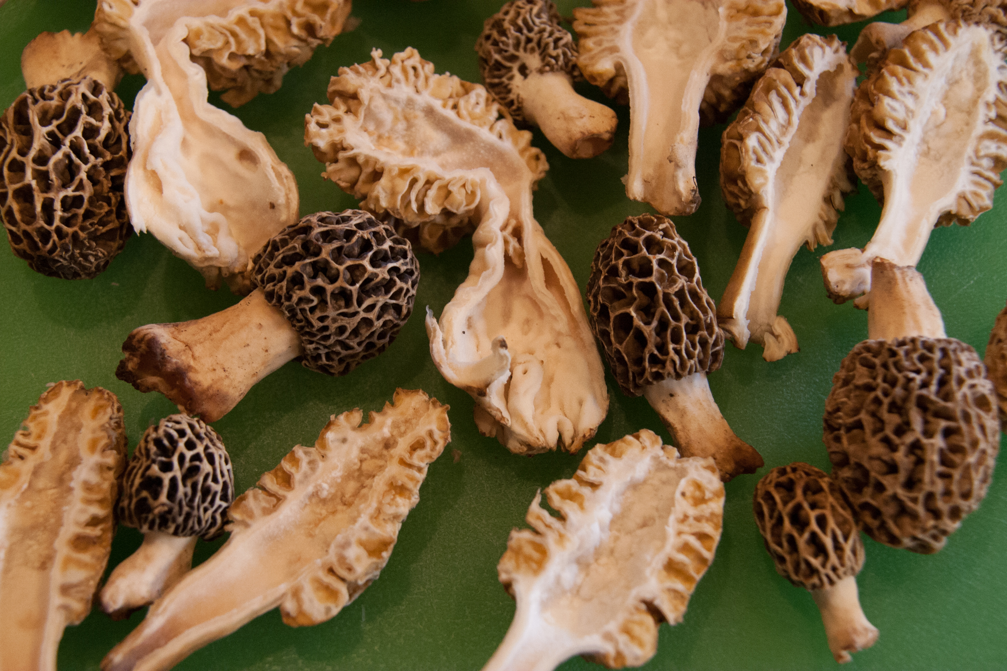 Morels Are One Of The Most Delicious Signs Of Spring And With Just A Little Work They Amp 39 Re