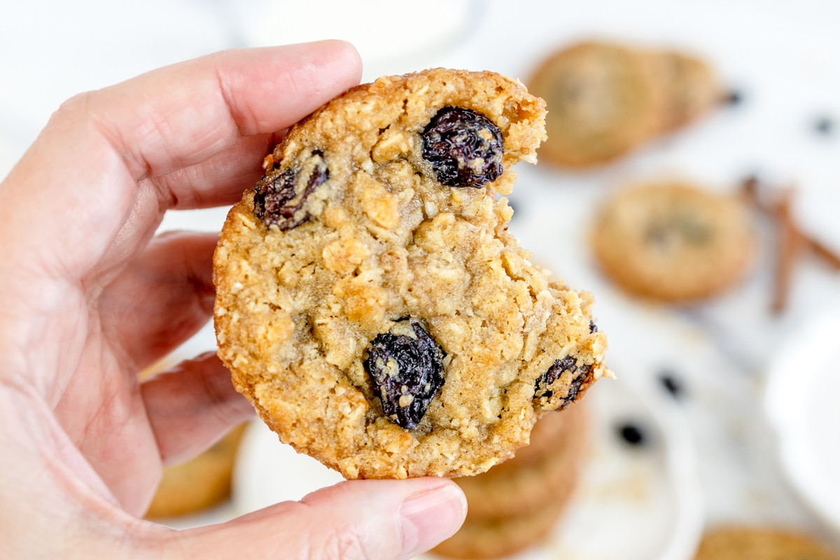 Mrs Fields Copycat Oatmeal Raisin Cookies Best Cookie Recipes