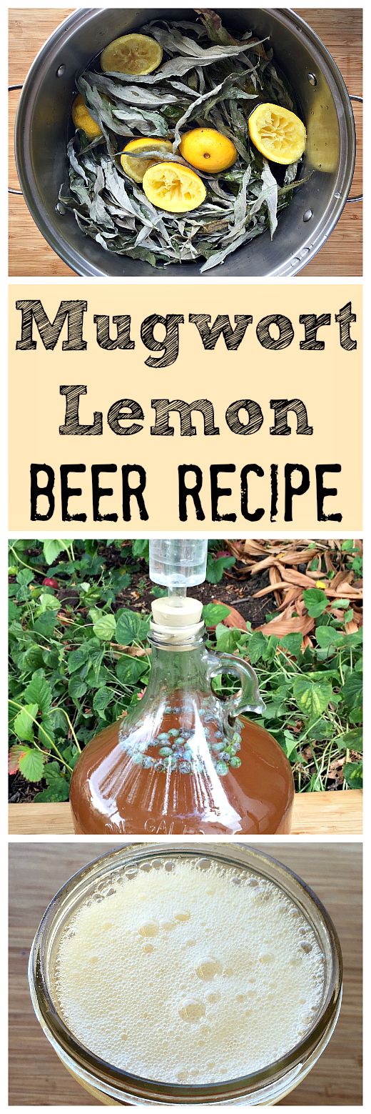 Mugwort Lemon Beer Recipe Recipe Lemon Beer Beer Recipes Homebrew