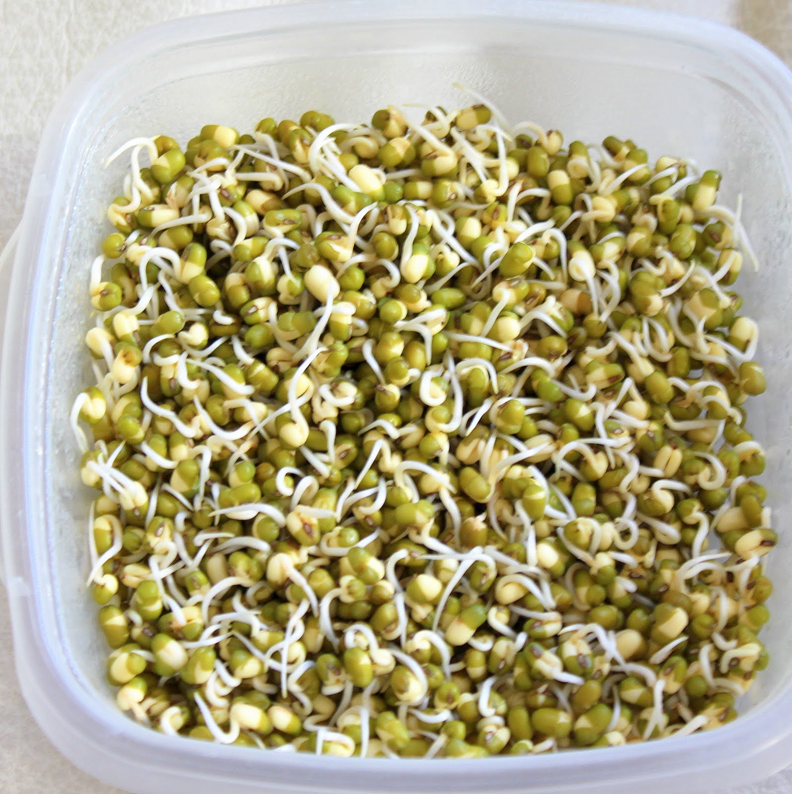 Mung Bean Sprouts Sauteed With Spices Vegan Glutenfree Breakfast Vegan Richa