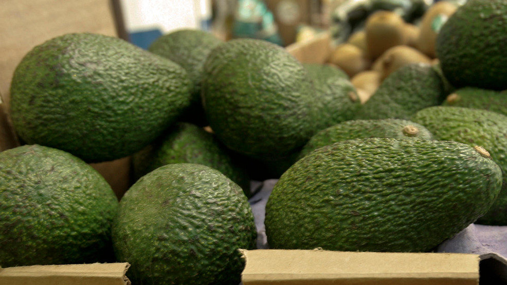 New Study Investigating Avocados Role In Cancer Risk Rd